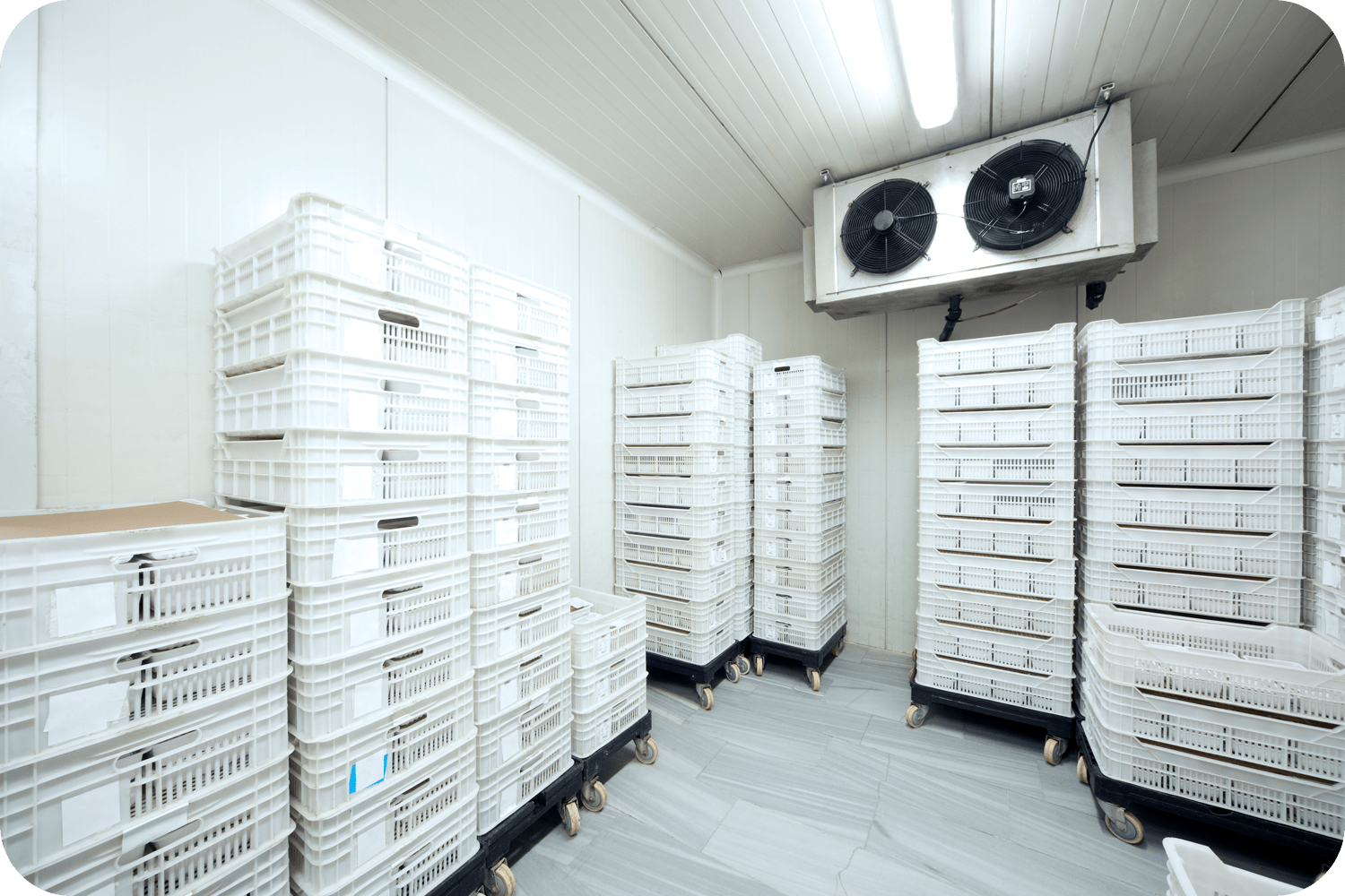 South Jersey Ductless Systems & VRF Solutions For Refrigeration